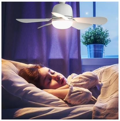 AIRE FRESCO Y LUZ PERFECTA EN CUALQUIER MOMENTO